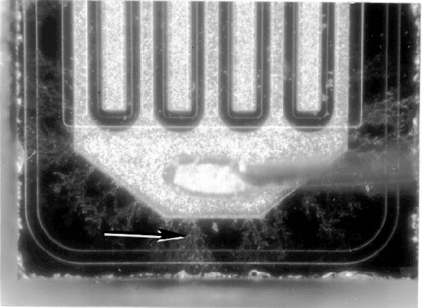 Photograph of contamination between the bond wire and the die. (Photo courtesy DM Data.)