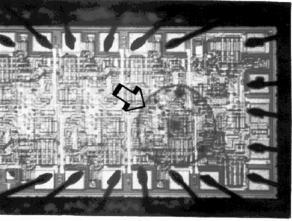 Photograph of residue on the surface of the die. (Photo courtesy DM Data.)