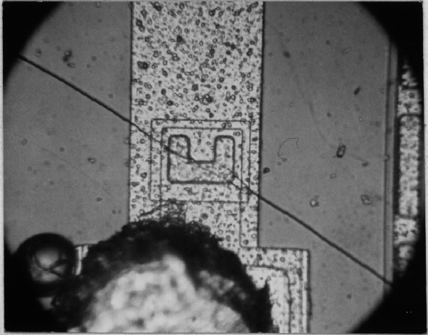 Photograph of a cracked die. (Photo courtesy Sandia Labs.)