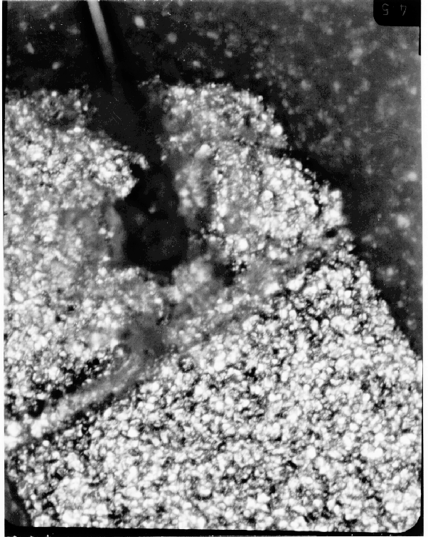 Photograph of contamination between the bond wire and the lead frame. (Photo courtesy Sandia Labs.)