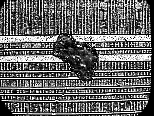 Photograph of a particle beneath the surface shown in Fig. 7 (before glass removal). (Courtesy Sandia Labs)