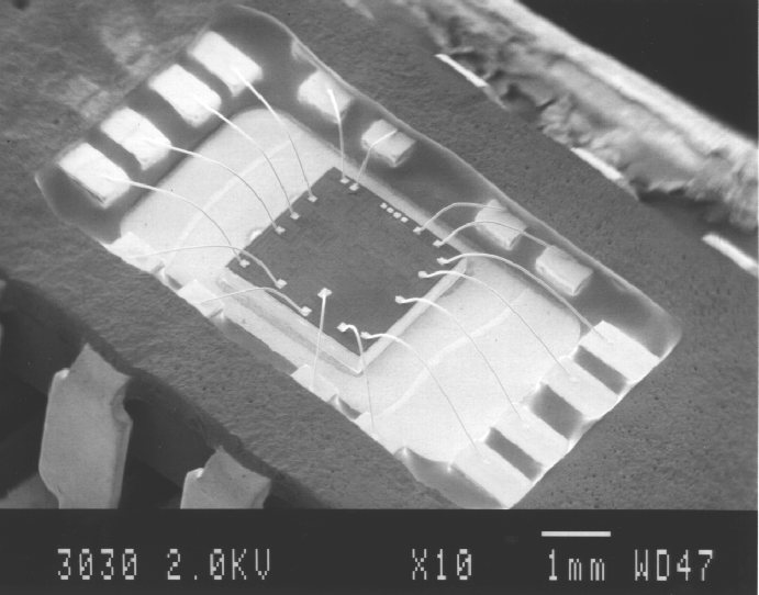 SEM image of a CERDIP package delidded with a vice (photo courtesy Analytical Solutions).