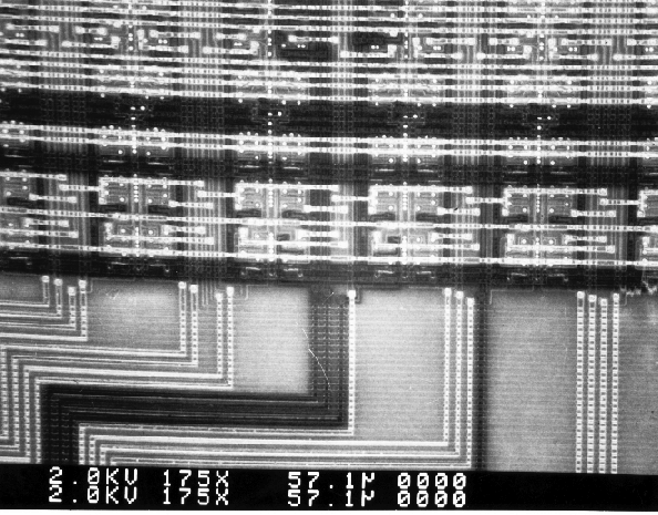 Voltage contrast image of an ASIC. (Courtesy Analytical Solutions).