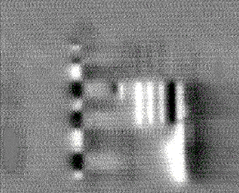 Backside IR LIVA difference image between a '1' and '0' state. (Courtesy Sandia Labs).