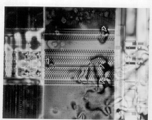 Metal to metal shorts identified by liquid crystal analysis on a 64k EEPROM. (Courtesy Sandia Labs).