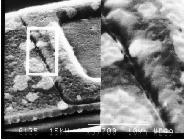 Scanning electron microscopy images of the failure area with magnified