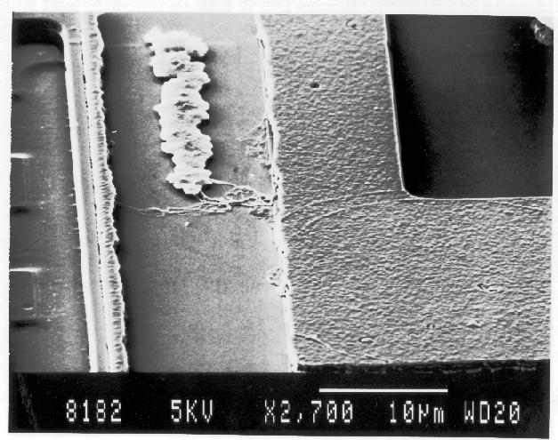 SEM image showing dendritic growth. (Photo courtesy Analytical Solutions.).
