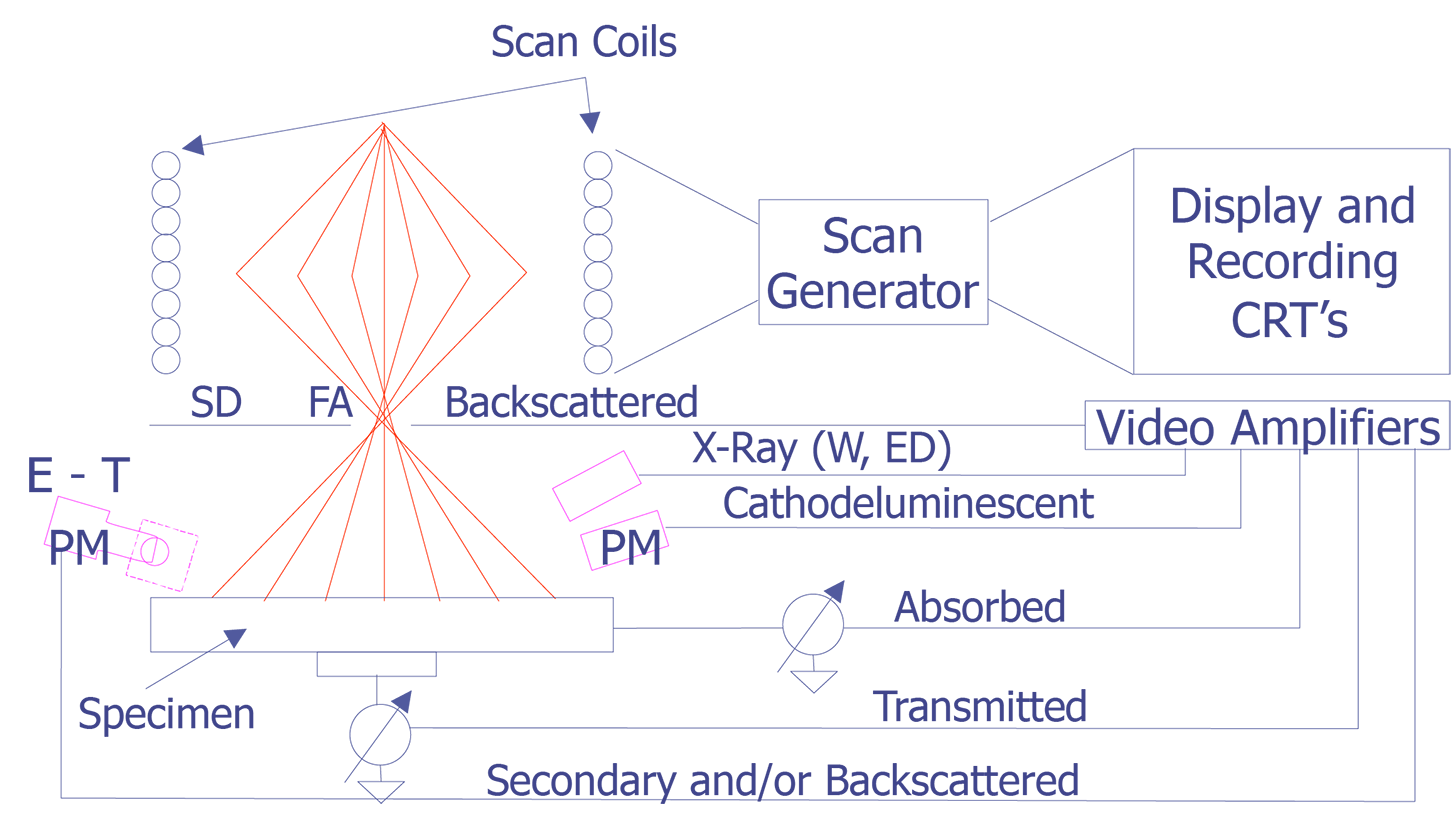Schematic illustration of scanning system of the scanning electron microscope. Abbreviations: FA, final aperature; SD, solid state electron detector; ET, Everhart-Thornley detector; S, scintillator; PM, photomultiplier; W, wavelength-dispersive x-ray spectrometer; ED, energy dispersive x-ray spectrometer; CRT, cathode ray tube (after Goldstein et. al.).