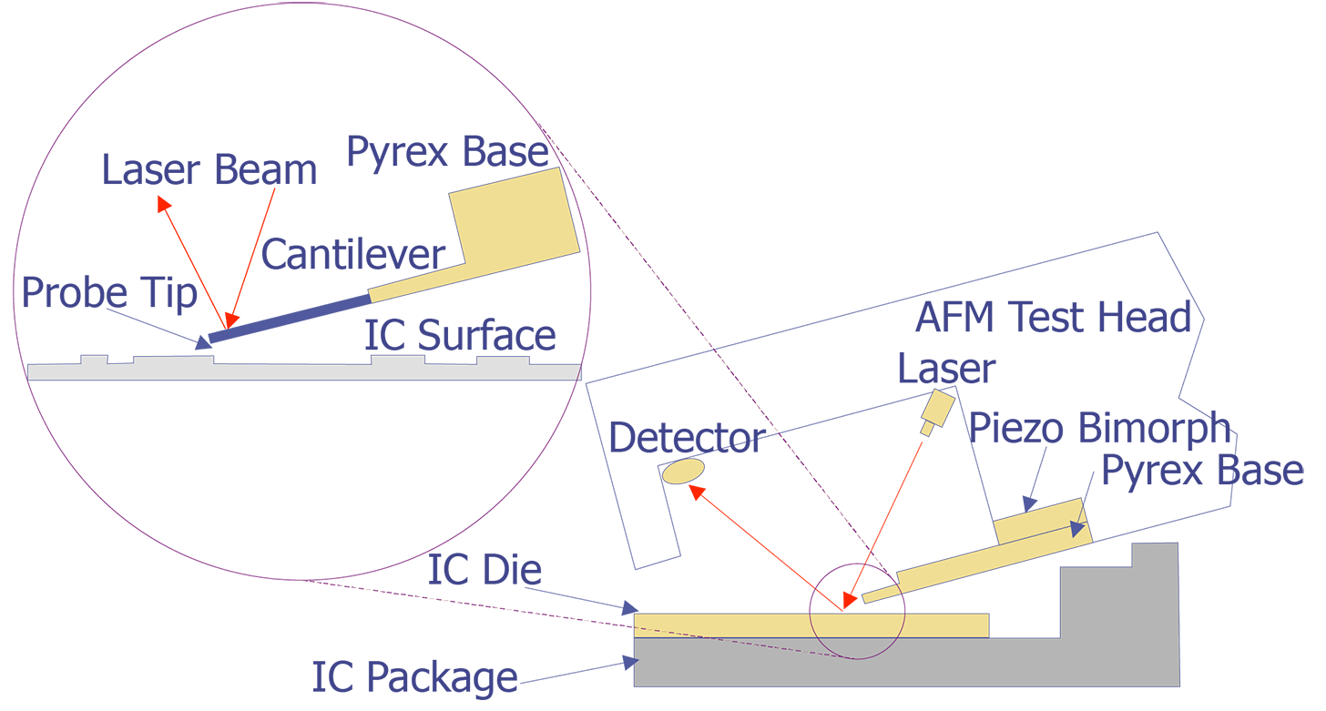 Basic Components of an Atomic Force Microscope System (after Campbell et. al.).